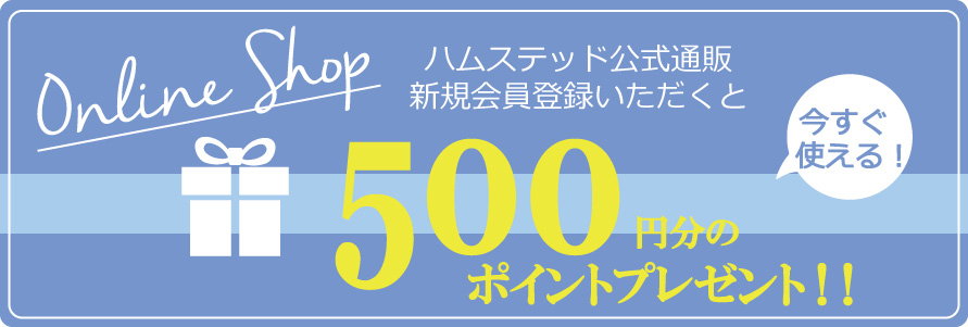 500ポイント